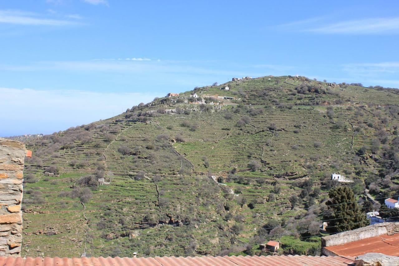 Vila Persephone Ioulis Exteriér fotografie